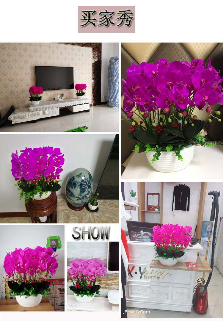 Trang trí trang trí mô phỏng PU Phalaenopsis chậu phụ kiện nhà phòng khách TV tủ hoa giả cây xanh trang trí hoa - Trang trí nội thất trang trí nội thất