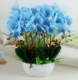 Trang trí trang trí mô phỏng PU Phalaenopsis chậu phụ kiện nhà phòng khách TV tủ hoa giả cây xanh trang trí hoa - Trang trí nội thất