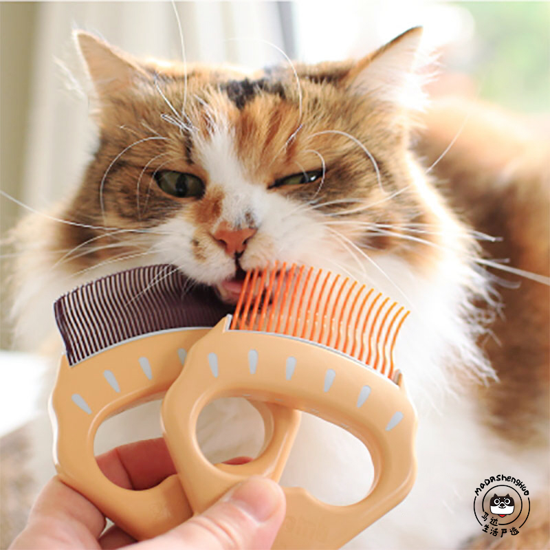 Motor Life Yan Elects Japanese Philocomb Pet Shells Comb