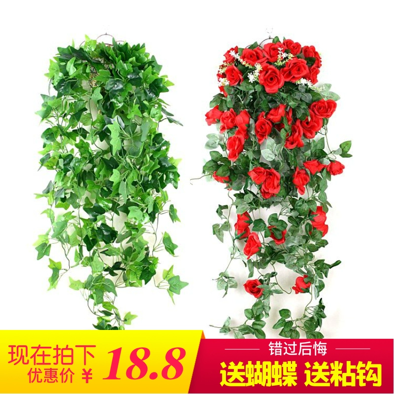 Mô phỏng cây treo tường hoa nho Chlorophytum hoa giả mây nho cây xanh tường trong nhà lá xanh thì là lá tường trang trí - Hoa nhân tạo / Cây / Trái cây