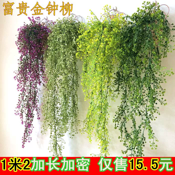 Mô phỏng trang trí tường lá xanh treo hoa lan trang trí cây xanh nền trang trí tường Jinzhong liễu treo tường nhựa treo giỏ hoa treo - Hoa nhân tạo / Cây / Trái cây