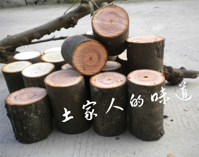 Gỗ rắn gỗ nhỏ trụ rễ khắc phân gỗ gỗ trụ gỗ gốc cây gỗ long não cây trụ bàn cà phê phân lớn tấm khung cơ sở - Các món ăn khao khát gốc bàn ghế gốc cây bằng gỗ