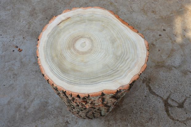Gỗ phân cây thông gốc khắc bàn cà phê cơ sở phân gỗ trang trí trụ tròn phân lớn tấm khung thông thông trụ cột - Các món ăn khao khát gốc Gốc cây làm bàn