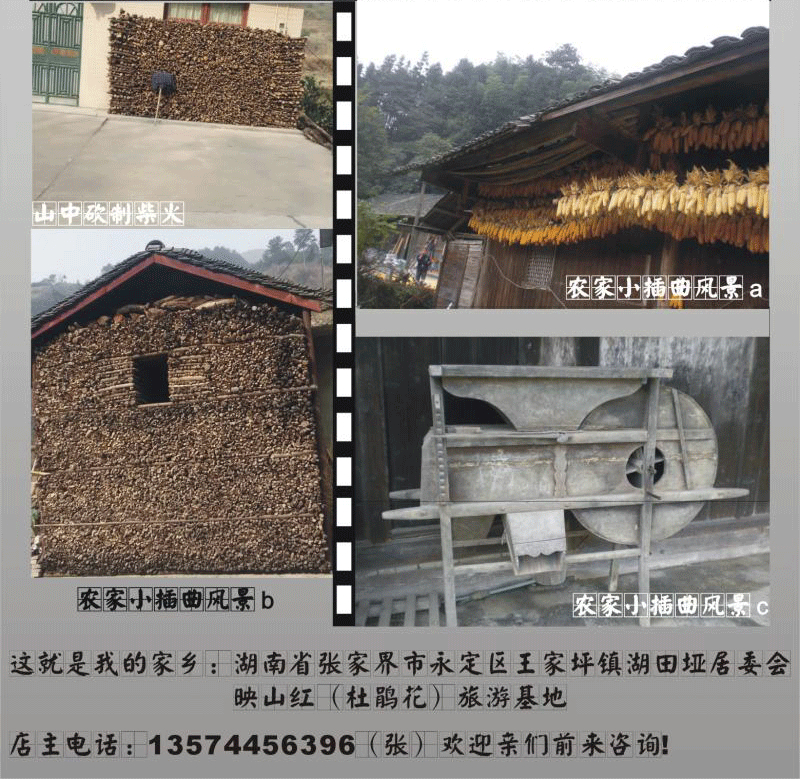 Đặc biệt cung cấp gốc tự nhiên khắc khung gỗ bến tàu đâm gỗ trụ gỗ rắn phân hoa bàn bàn cà phê tấm lớn khung cơ sở tròn bằng gỗ - Các món ăn khao khát gốc bàn ghế gốc cây gù hương	