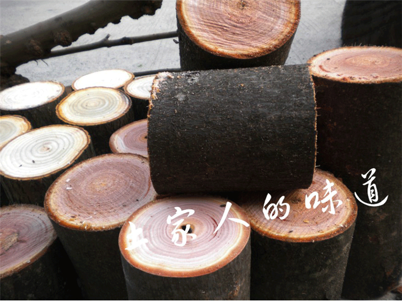 Gỗ rắn gỗ nhỏ trụ rễ khắc phân gỗ gỗ trụ gỗ gốc cây gỗ long não cây trụ bàn cà phê phân lớn tấm khung cơ sở - Các món ăn khao khát gốc bàn ghế gốc cây bằng gỗ