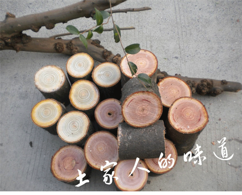 Gỗ rắn gỗ nhỏ trụ rễ khắc phân gỗ gỗ trụ gỗ gốc cây gỗ long não cây trụ bàn cà phê phân lớn tấm khung cơ sở - Các món ăn khao khát gốc bàn ghế gốc cây bằng gỗ