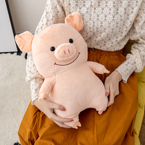 Small pig warm baby rechargeable cute plush dormitory girl with warm water bag warm hand Bao Zhebao explosion protection hot water bag