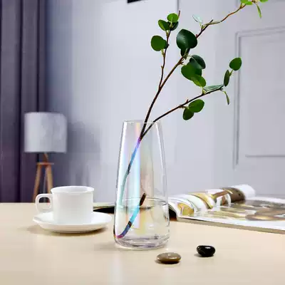Nordic simple transparent glass vase hydroponic rich bamboo flowers dry flower flower arrangement home decoration living room P2