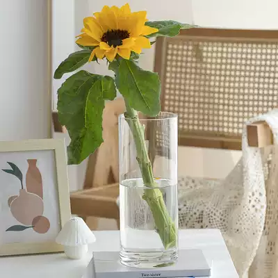 Small diameter straight tube simple simple transparent glass vase flowers rich bamboo hydroponic hotel office decorative flower P1