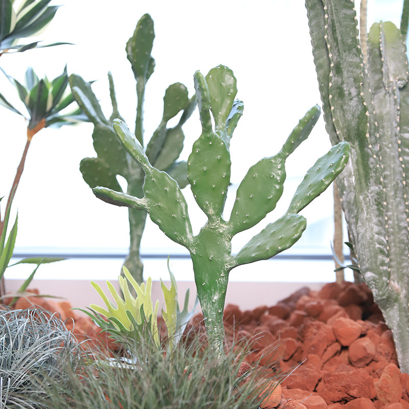Internet-Famous Artificial Leon Cactus Green Plant Potted Decoration, Sand Plant Landscape, Desert Fake Plant Bonsai