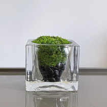 Simple modern classic bottle bottom bubble straight transparent glass vase immortal Moss Flower Home ornaments