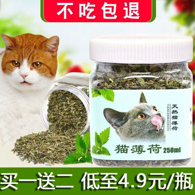 [Catnip] 250ml súc miệng loại bỏ bóng lông Bột cỏ bạc hà mèo thúc đẩy quá trình tiêu hóa Bột ăn dặm cho mèo cỏ bạc hà - Đồ ăn nhẹ cho mèo