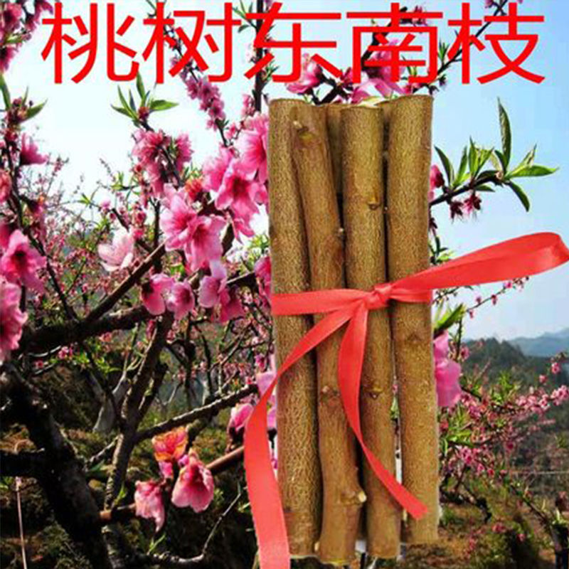 Old peach tree branches log peach branches dry material wild southeast old elderly baby ornaments