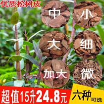 Special fermented rotting pine scale pine bark Orchid plant material Dendrobium seedling matrix Large bark paving cover