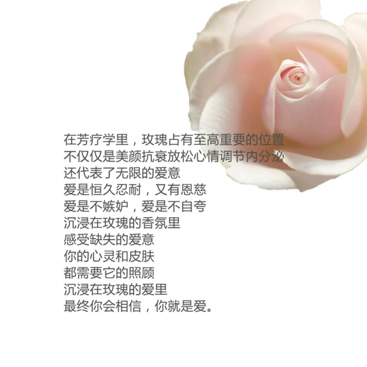 Đĩa đơn! 5 bức ảnh (trừ điều khiển từ xa)! ! Rose Snow Muscle Oil Pure Dew Mask Beauty ~ White! mặt nạ nhau thai cuống rốn