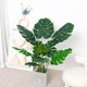 Nordic Artificial Plant Traveler's Banana Indoor Floor-Standing Potted Decoration Monstera Bamboo Green Plant Bird of Paradise Artificial Tree