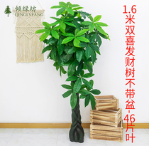 Fake Tree Hair Treasure Tree Emulation Plant Potted Room Large Green Planting Floor Indoor Plastic Decorated Bonsai Without Basin