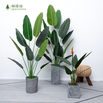 Simulation plant potted plant decoration large Nordic Brigade Banana Tortoise Back Leaf Indoor Living Room Pendulum with green plant on floor