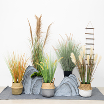 Nordic simulation plant reed false grass potted plant decoration large bonsai pendulum pieces in the wind home room floor green plant