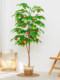 Simulated Green Plant Lemon Tree Potted Fruit Artificial Green Plant Decoration for Living Room Large Indoor Floor-Standing Plant Ornament