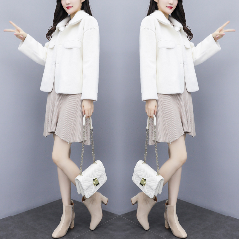 Fall and Winter 2022 Han Edition new small - sized mink plush coat female short coat loose and jacket tide