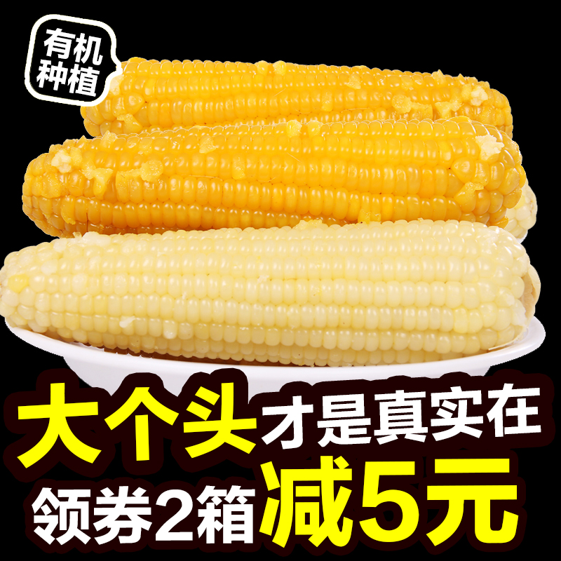 (White 5 Yellow 5)Dewin yellow white sticky sticky corn cob Glutinous rice corn fresh vacuum packed energy bar 10 pieces