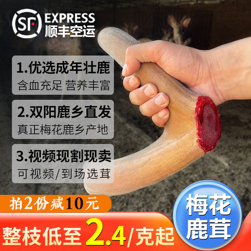 Plum Blossom Antler Whole Root Brew special medicinal herbs Male nourishing ginseng Traditional Chinese herbal medicine with blood whiplash fresh antler whole branch-Taobao