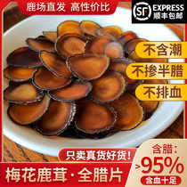 Lubaotang plum blossom pilose antler whole wax slices for soup and wine