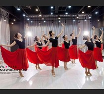 Dance practice clothes adult womens suits National classical modern dance body dancing costume chiffon elegant dress dress