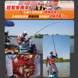 佳钓尼 Доминируя с большим кольцом гигантская рыба