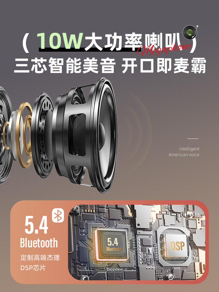 Bluetooth Speaker for Home Karaoke with Floating Lyrics, Integrated Microphone, Small Karaoke Machine, Gift