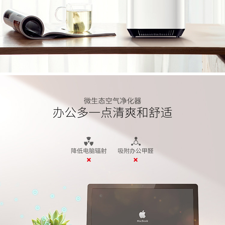 净化器绿植-恢复的_06.jpg