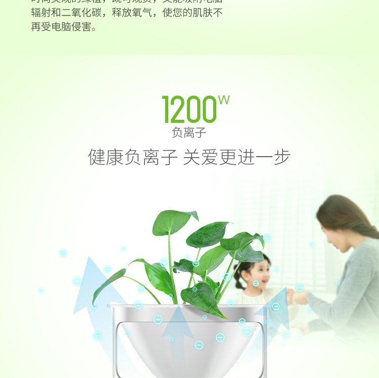 净化器绿植-恢复的_08.jpg
