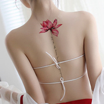 Tattoo patch waterproof female long-lasting flower arm Korean sexy Lotus scar chest leg back arm simulation tattoo