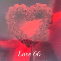 VG50 грамм Love66