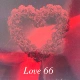 VG50 грамм Love66