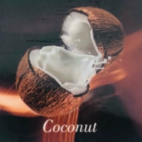 VG50G Кокосовый сок