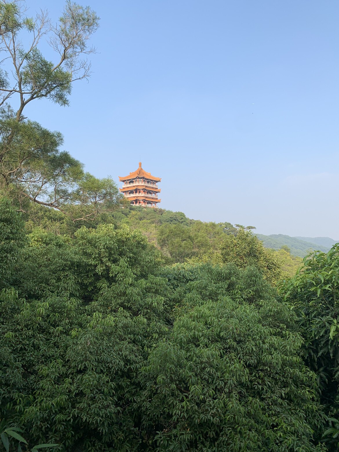 耳温枪维修东湖店