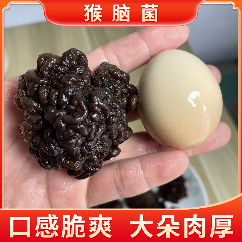 Monkey brain bacteria dry goods 500g walnut bacteria Maca bacteria pimple black coccus wild sea cucumber novel ingredients