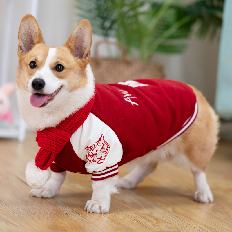 Tide Cards Pets Dogs Clothes Autumn Clothing Kirchitedi Chai Dogs Special Baseball Suit Vest Jacket Medium Dog Autumn Winter-Taobao