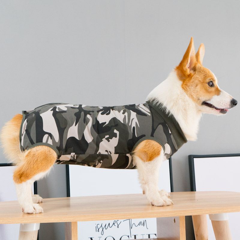 Dogs Clothes Teddy Autumn Winter Clothing Pet Farokie Kirky Small Large Canine Dog Golden Fur Bib Bear Puppy Four Feet-Taobao