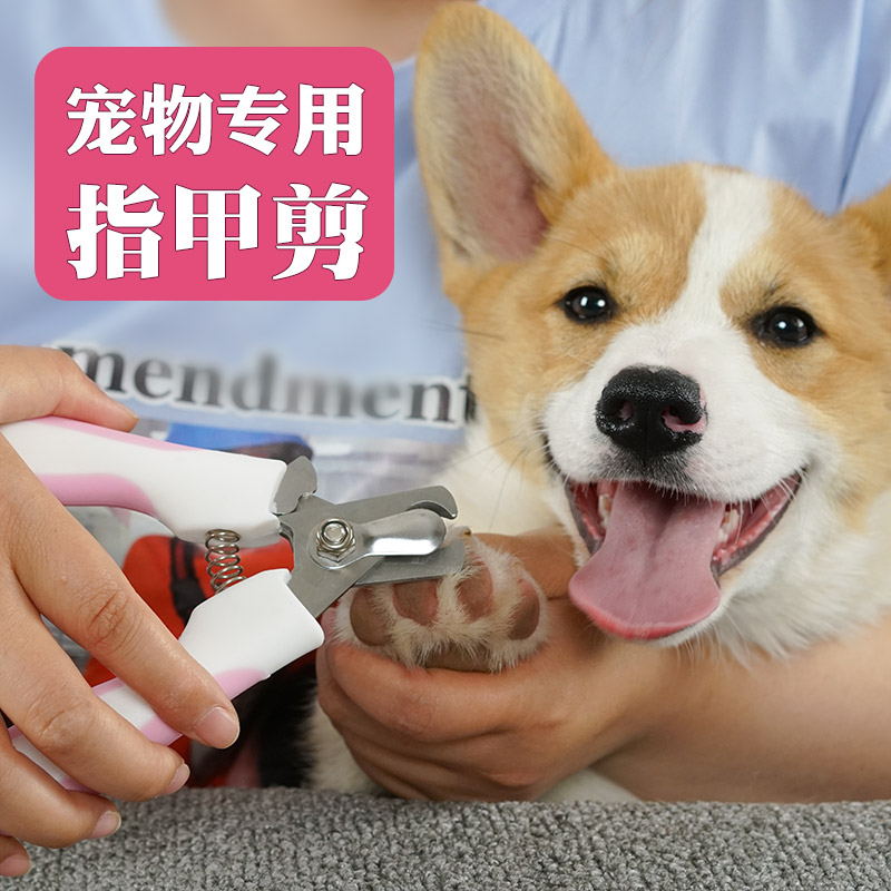 Pet Pooch Cat Fingernail Cut Dog Nail Clippers Special Cut Nail knife delivery Nail polisher Kitten Koki kitty Teddy Supplies-Taobao