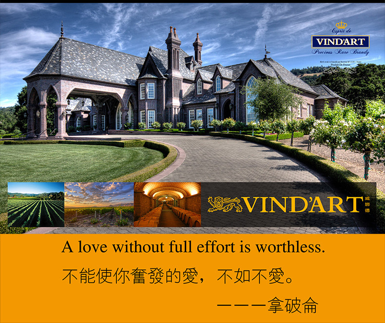 法国原瓶进口 威娜德 Vin dArt 2013年份 干红葡萄酒 750ml*6支 图12