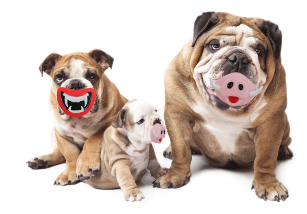 Pet cung cấp chó đồ chơi bóng mol cắn đào Teddy gấu con chó con mèo đồ chơi cung cấp chó nhai - Mèo / Chó Đồ chơi đồ chơi cho thú cưng