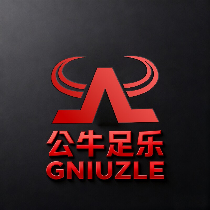 手工专匠潮鞋