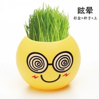 Головокружение (цветовая коробка+семя+почва) подходит для 10 ° ~ 30 °