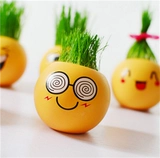 Творческий мини -плата