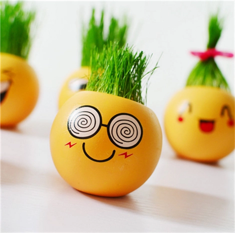 Творческий мини -плата