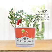 Маленький томат 15 ° ~ 30 °