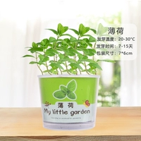 Мят 15 ° ~ 30 °